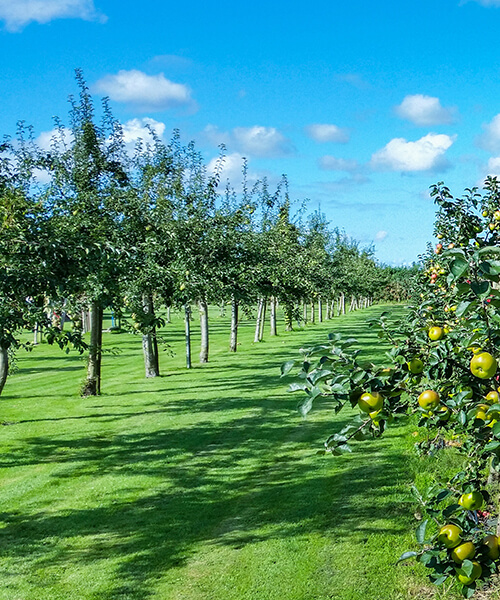 Boustan Farm Research & Development