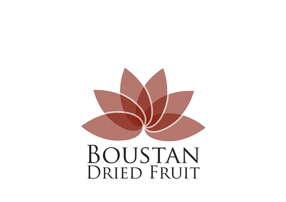 Boustan Dried Fruit 3