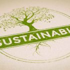 How to choose sustainable foods?
